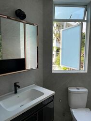 Leedon 2 (D10), Condominium #349751771